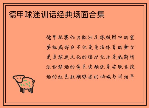 德甲球迷训话经典场面合集